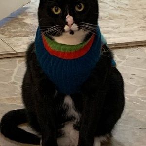 Meet your Posher, James